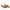 Women Formal Slippers - 41158S