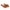 Women Formal Slippers - 41268S