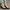 Women Formal Wedge - 75276S