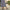 Women Formal Wedge - 75314S